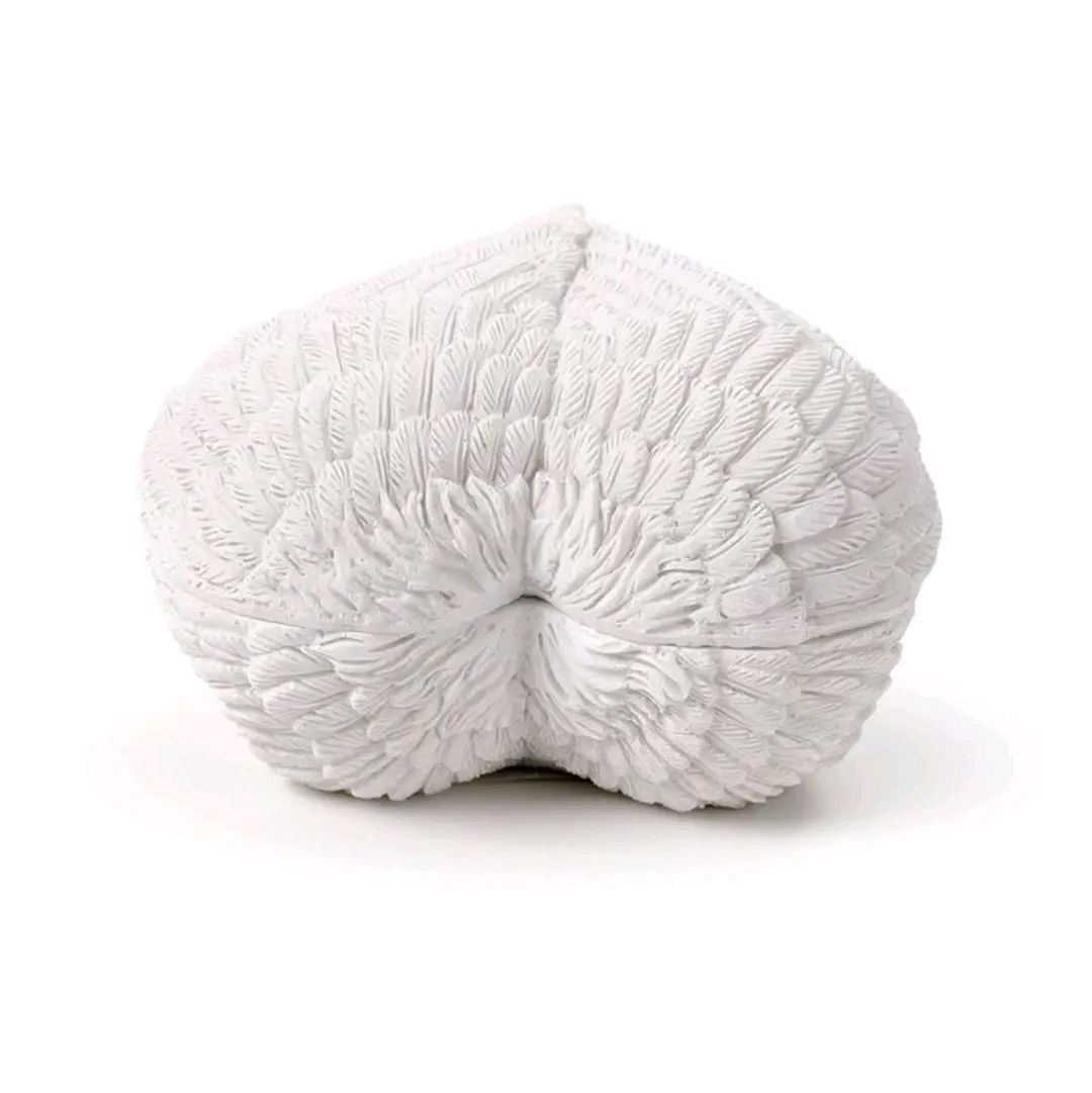 Wings of the Heart Angel Wings Trinket Box