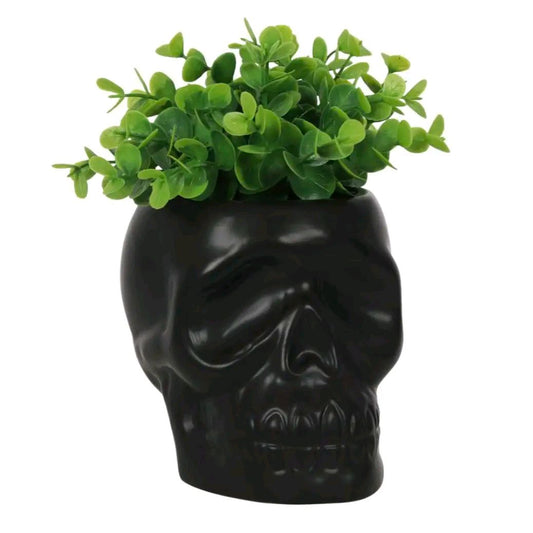 Black Skull Plant Pot