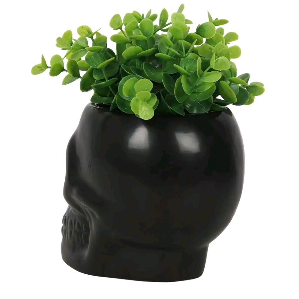 Black Skull Plant Pot