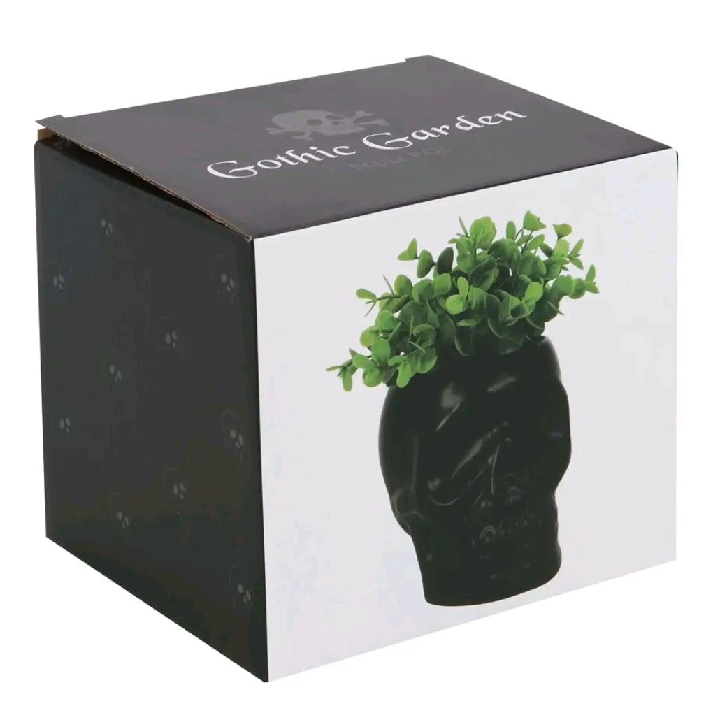 Black Skull Plant Pot