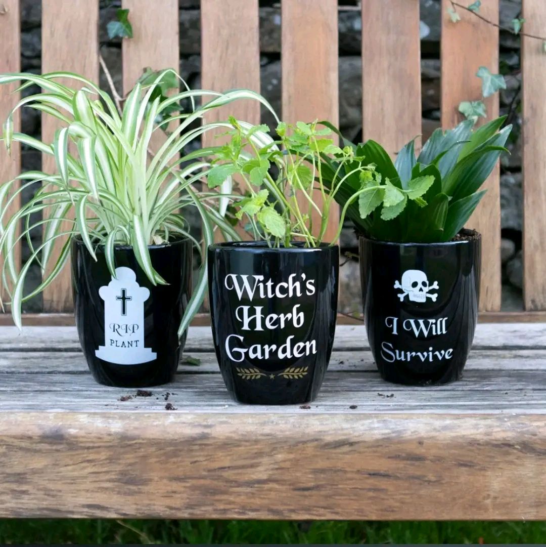 I Will Survive Skull Plant Pot