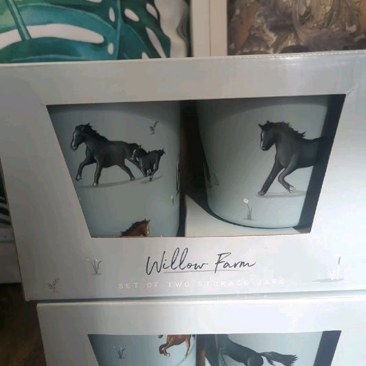 Willow Farm Set of 2 recycled storage jars