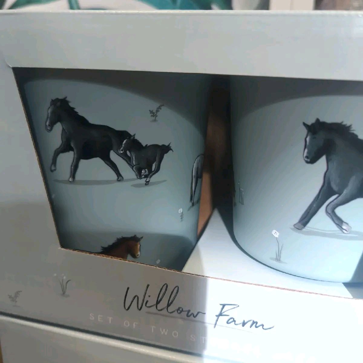 Willow Farm Set of 2 recycled storage jars
