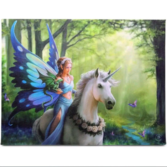 25X19cm Realm of Enchantment Canvas