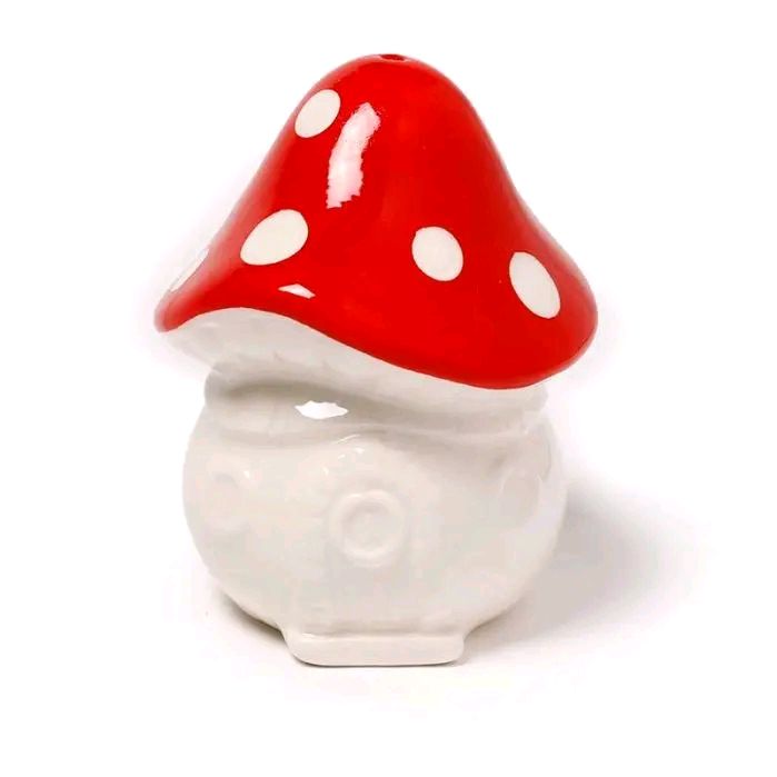 Fairy Toadstool House Salt & Pepper Shakers