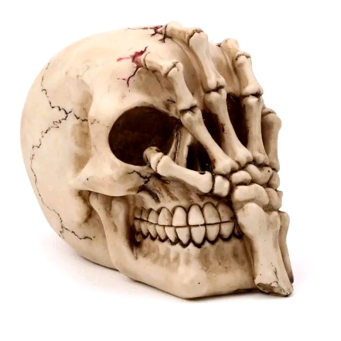Gruesome Skull Head With Skeleton Claw Hand