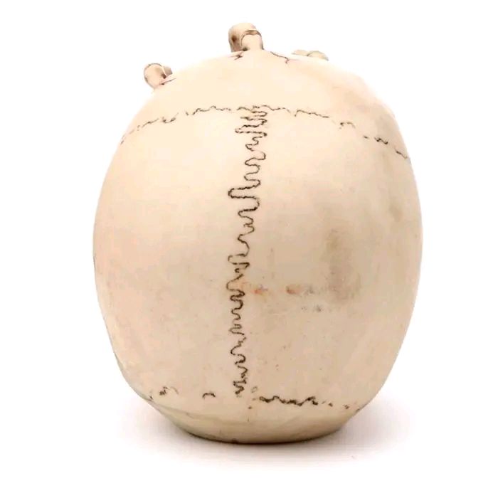 Gruesome Skull Head With Skeleton Claw Hand