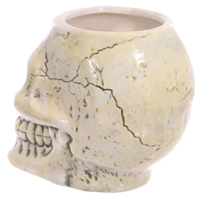 Ancient Skull Head Ceramic Shaped Mug