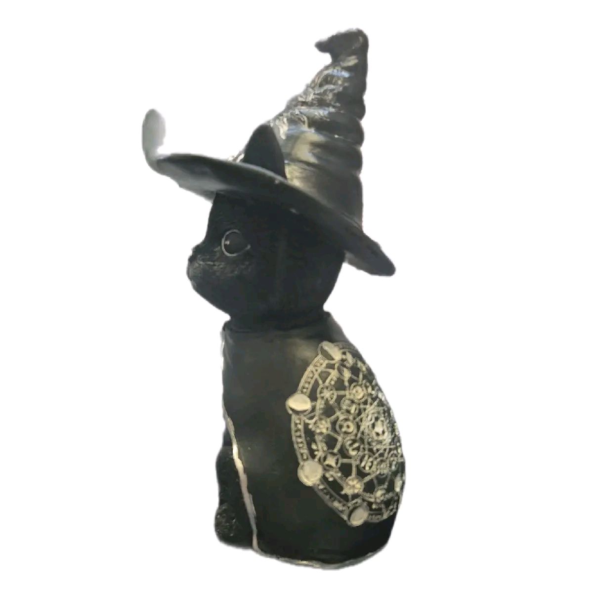 Witches Cat