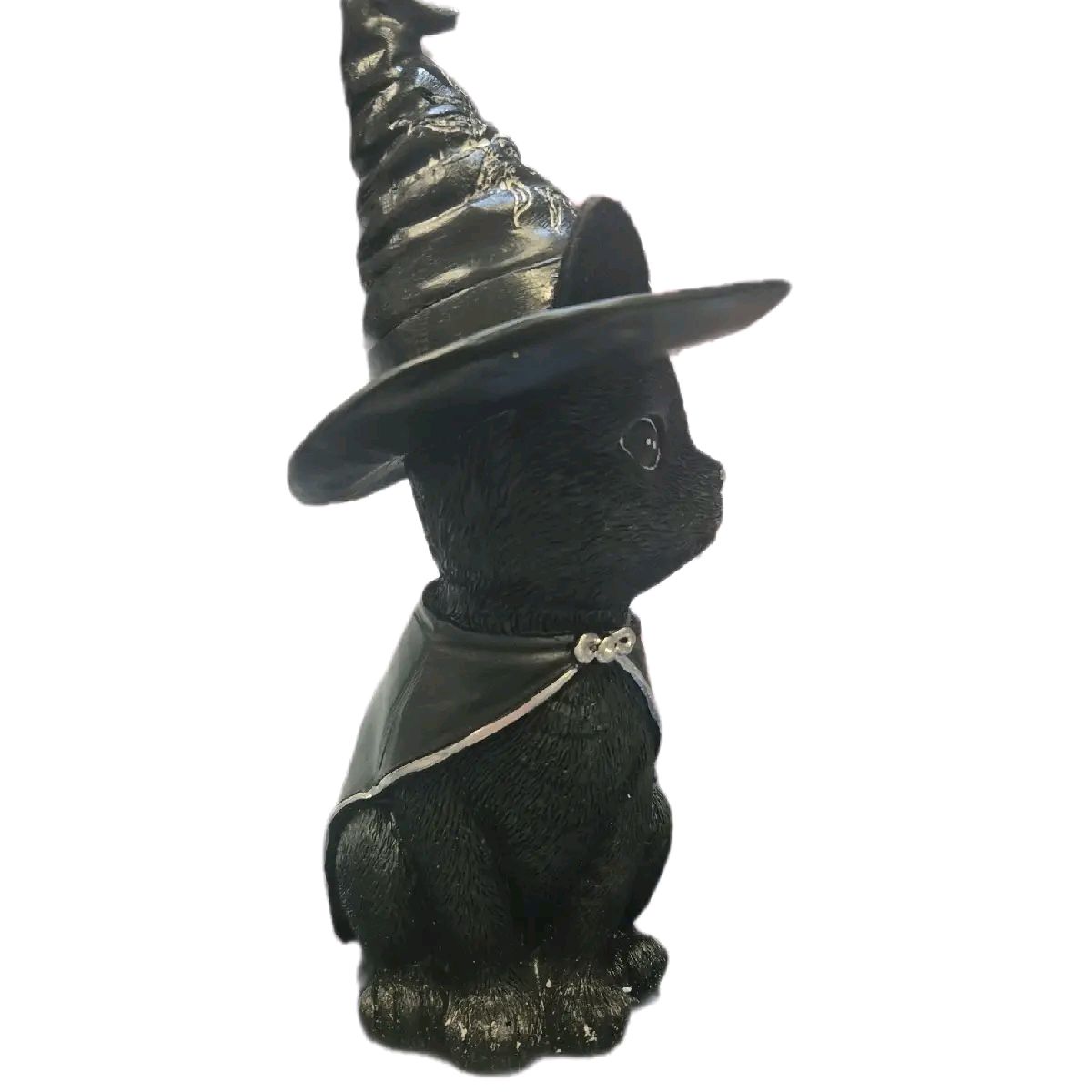 Witches Cat