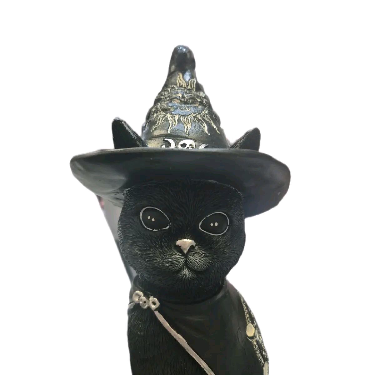 Witches Cat