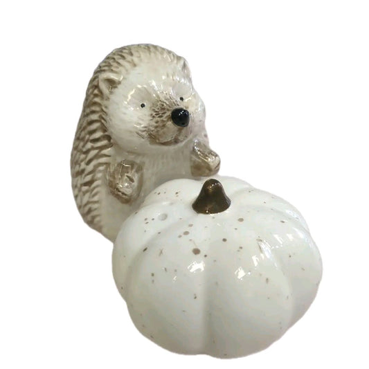 Country living Hedgehog & Pumpkin salt and pepper shaker set