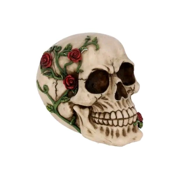 Rose from Beyond Skull