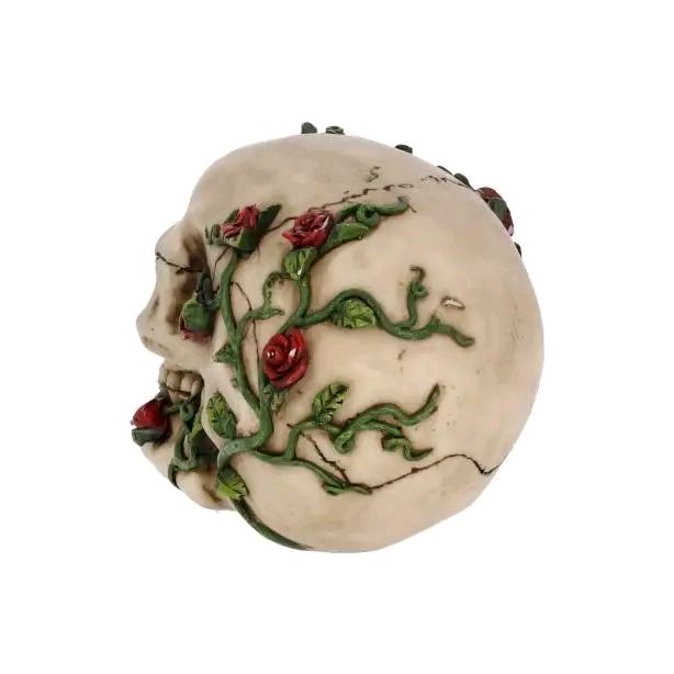 Rose from Beyond Skull