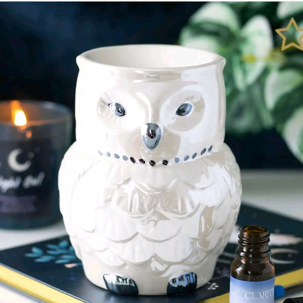 Iridescent Owl Burner