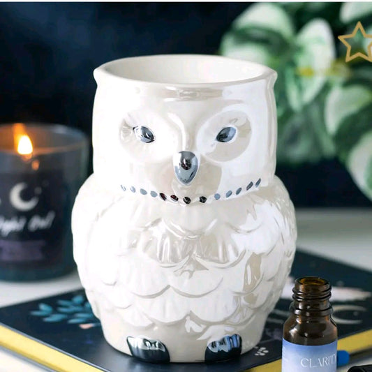 Iridescent Owl Burner