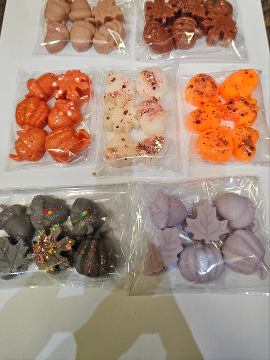 Autumn Themed Pack of 6 Wax Melts