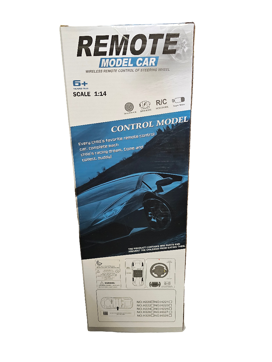 2 Way Remote control model car