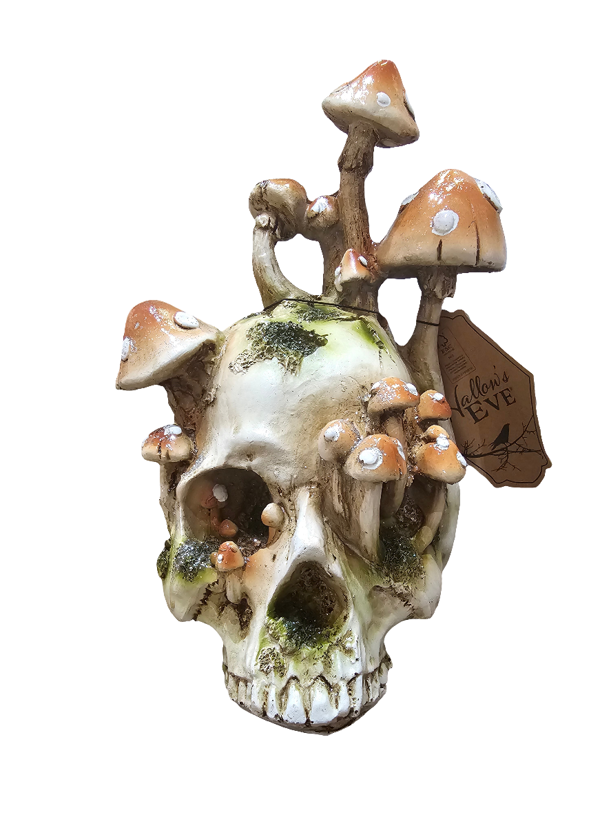 Hallows eve Skull growing Mushrooms