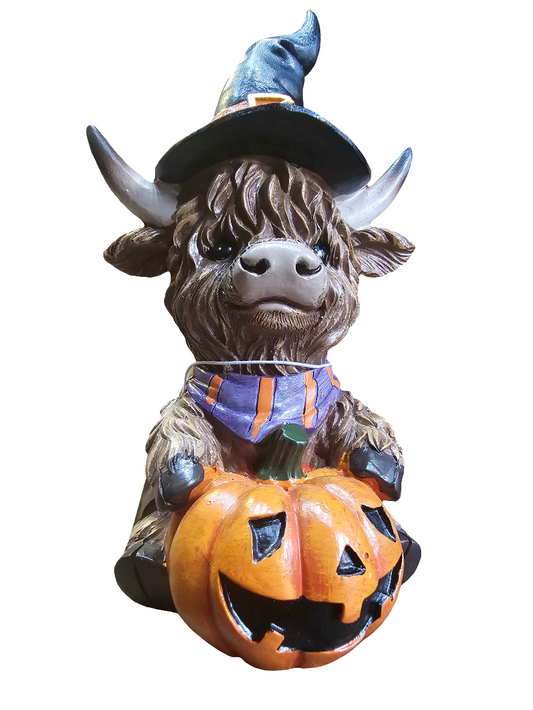 Highland Cow sitting with pumpkin