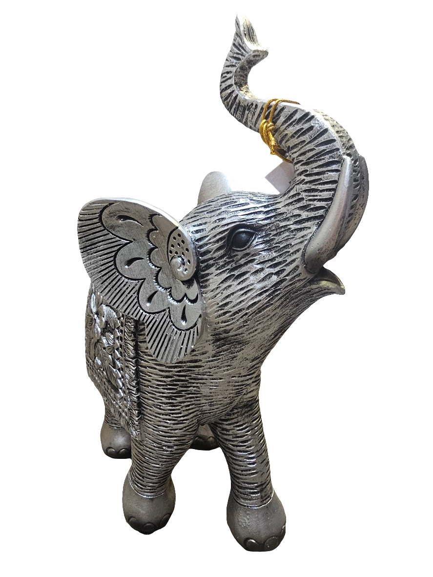 Hibiscus Silver Elephant Extra Large