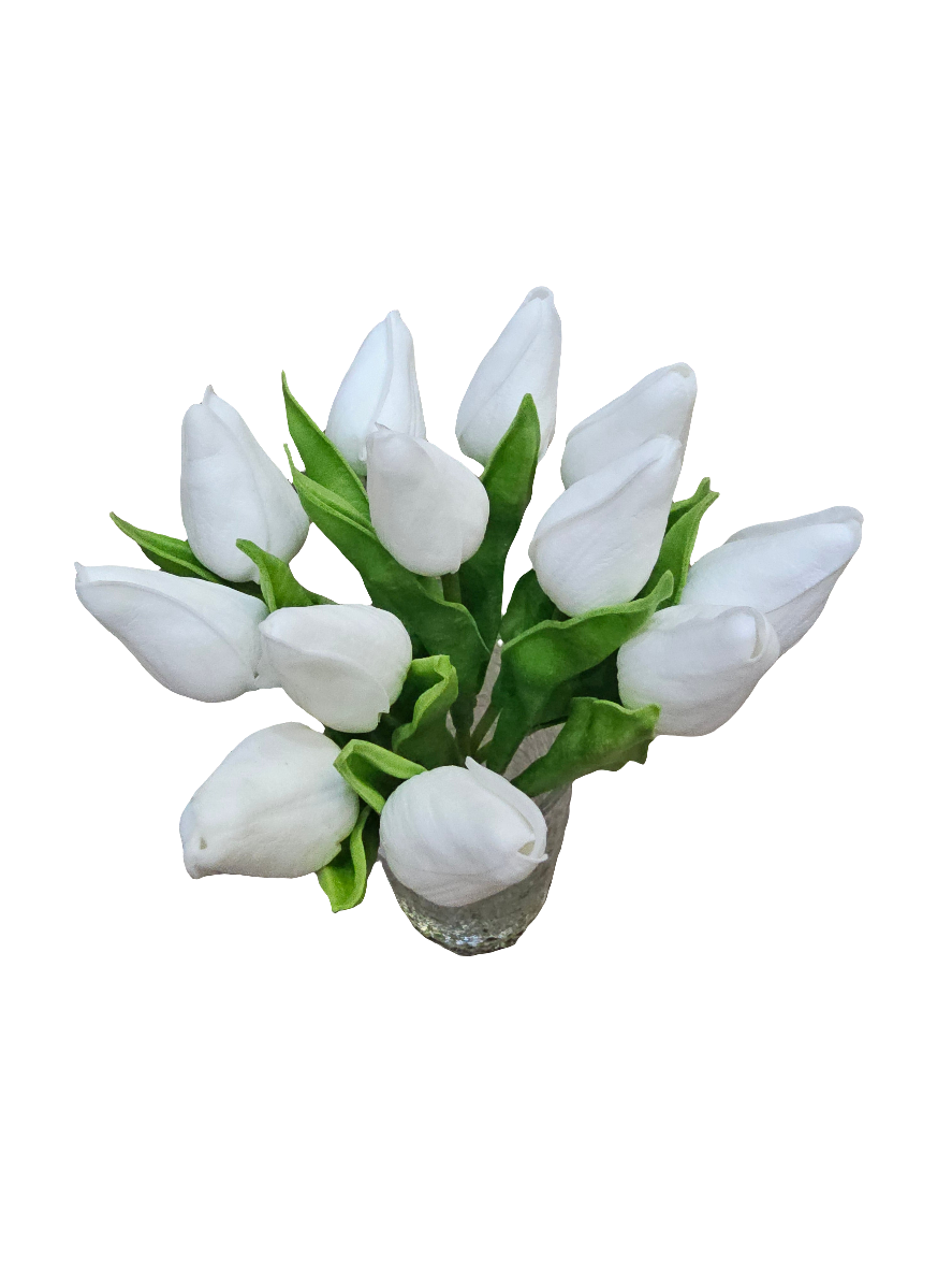 White Closed Tulip Stems in Vase 25.5cm