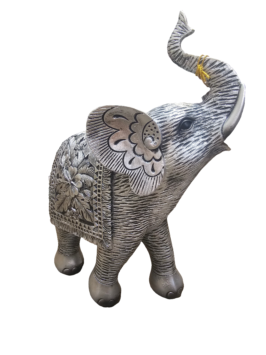 Hibiscus Silver Elephant Extra Large