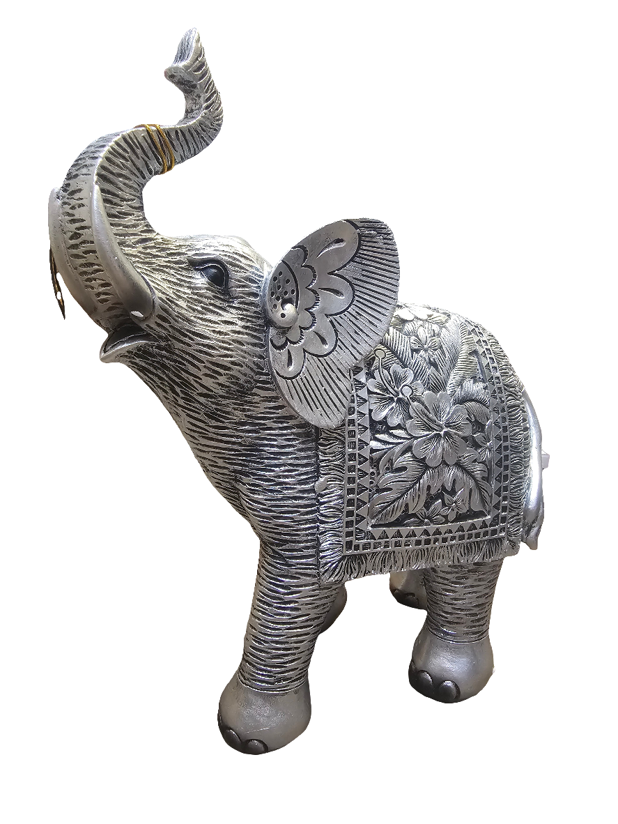 Hibiscus Silver Elephant Extra Large