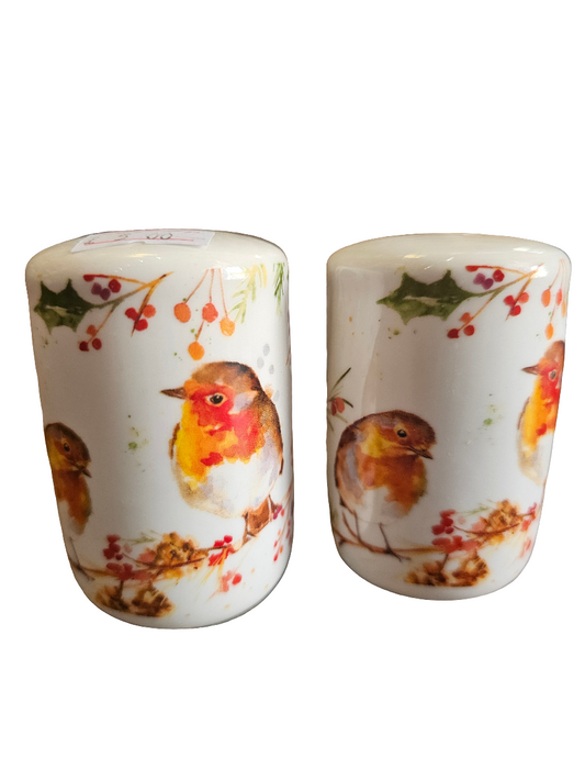 Winter Robin Jennifer Rose Salt and Pepper pots