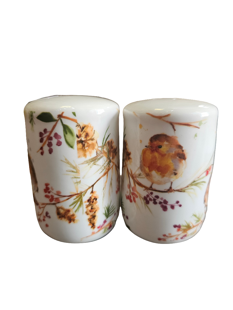 Winter Robin Jennifer Rose Salt and Pepper pots