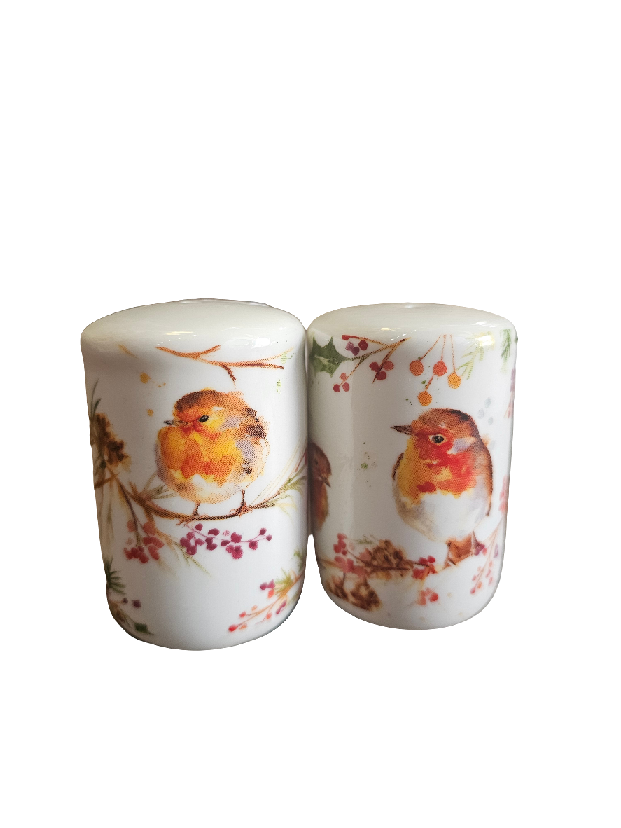 Winter Robin Jennifer Rose Salt and Pepper pots