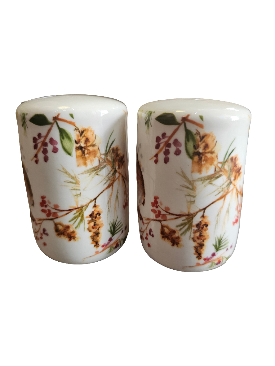 Winter Robin Jennifer Rose Salt and Pepper pots