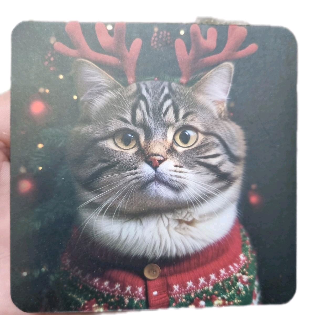 Christmas Cat/Dog Coaster Set of 4 - Kitchen Tableware Accessories