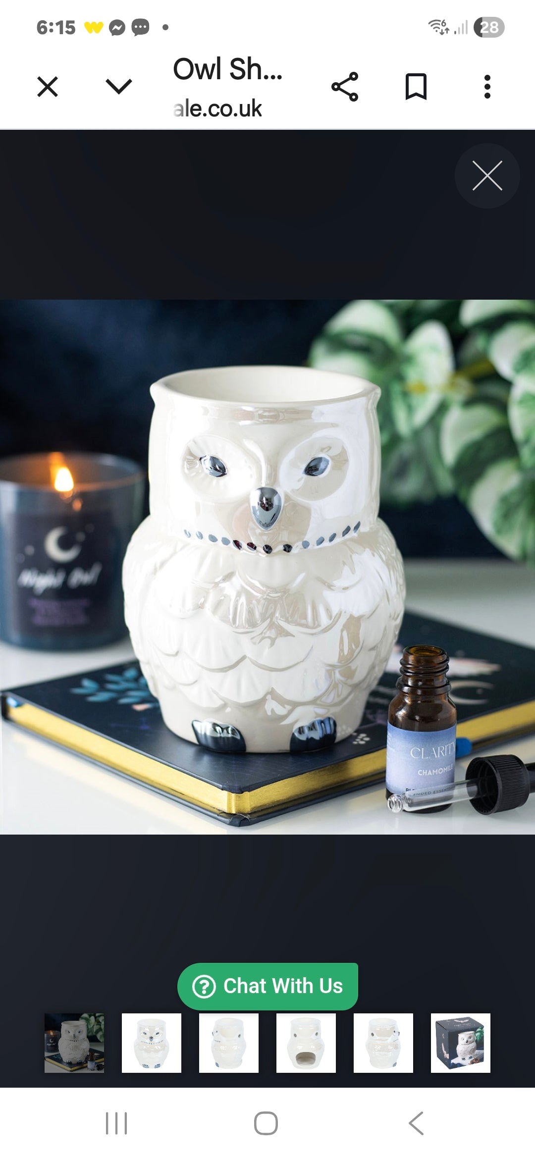 Owl Shaped Iridescent Oil Burner and Wax Warmer