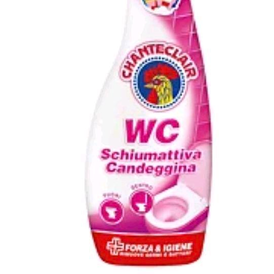 CHANTECLAIR WC Foaming Bleach with Upside Down Trigger, Spray Bottle 625 ml Household Toilet Cleaning