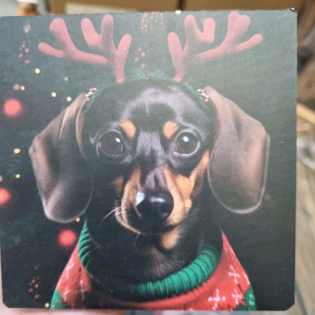 Christmas Cat/Dog Coaster Set of 4 - Kitchen Tableware Accessories