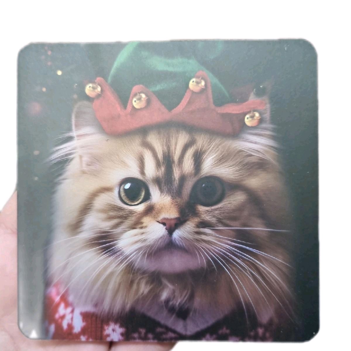 Christmas Cat/Dog Coaster Set of 4 - Kitchen Tableware Accessories