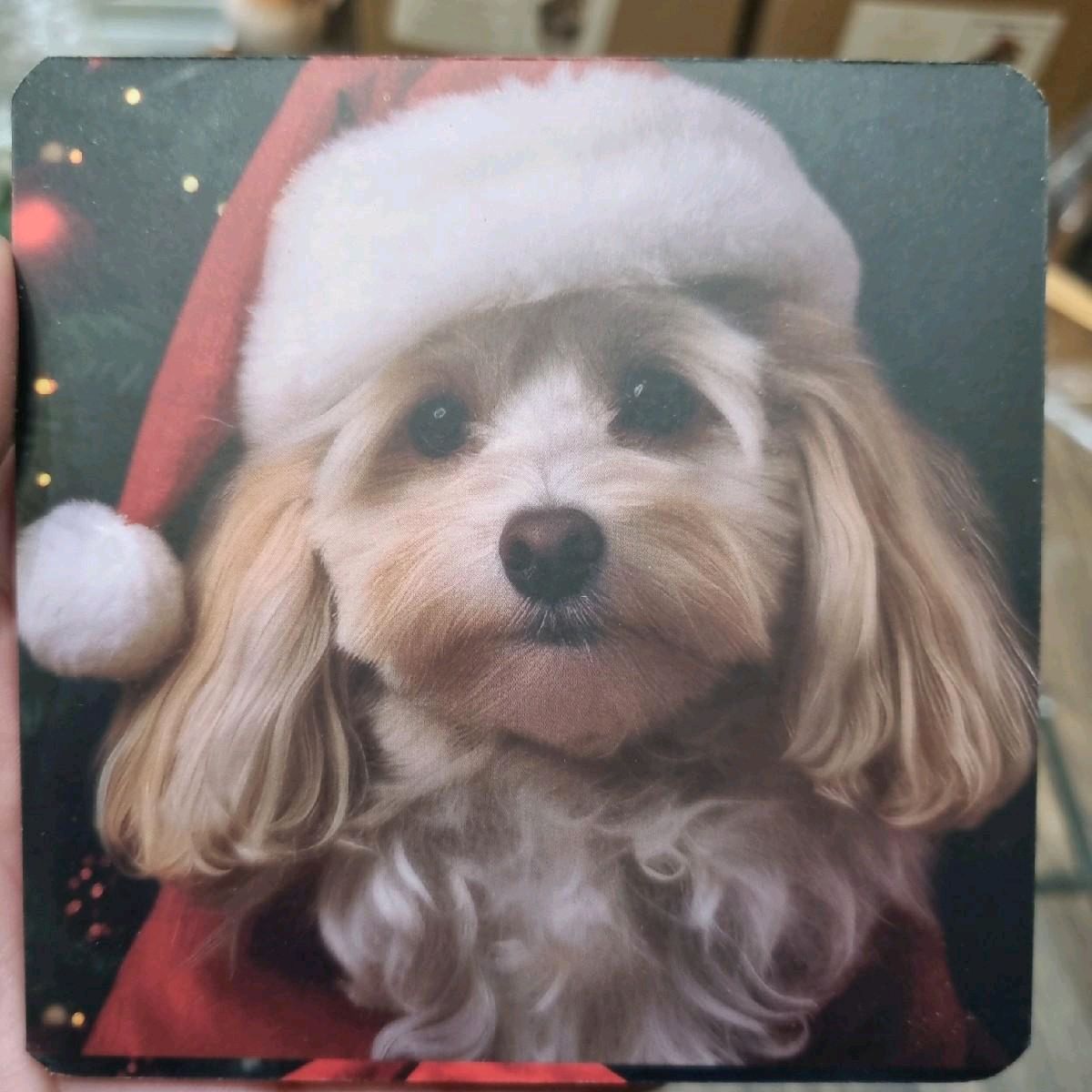 Christmas Cat/Dog Coaster Set of 4 - Kitchen Tableware Accessories