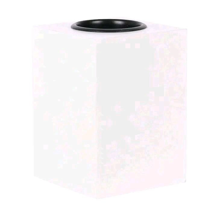 Visited by a Robin Cube Tealight Holder