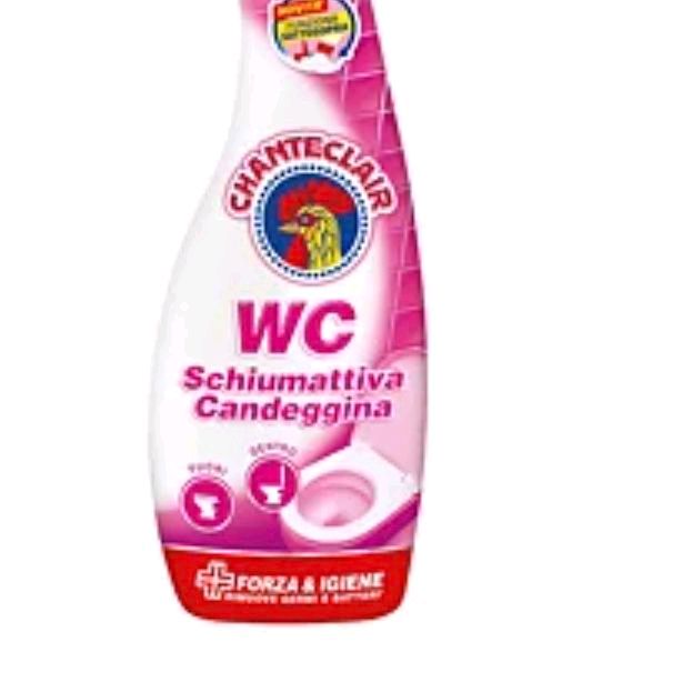 CHANTECLAIR WC Foaming Bleach with Upside Down Trigger, Spray Bottle 625 ml Household Toilet Cleaning