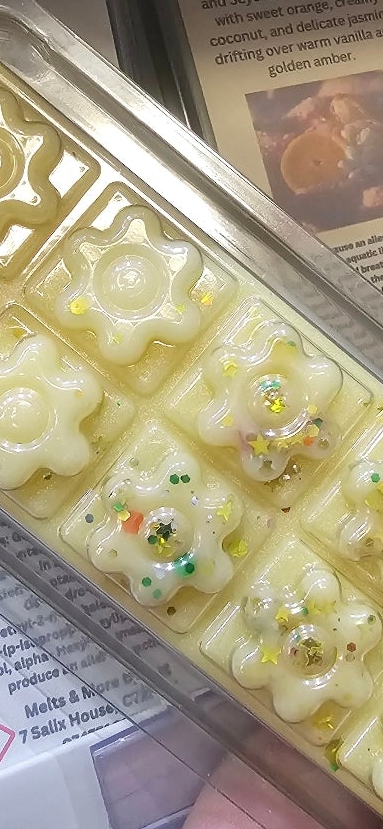 Scents of the sea wax bars 50g