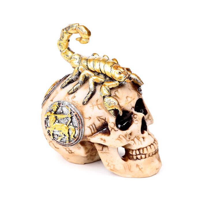 Scorpion Skull Statue