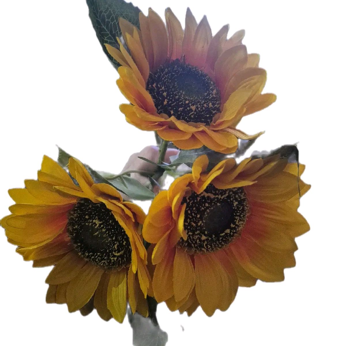 Yellow Sunflower Bundle, 42cm Decor