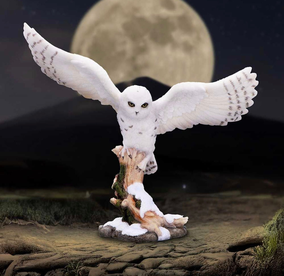 Snowfall 18cm
Snowfall - Majestic owl in winter scene