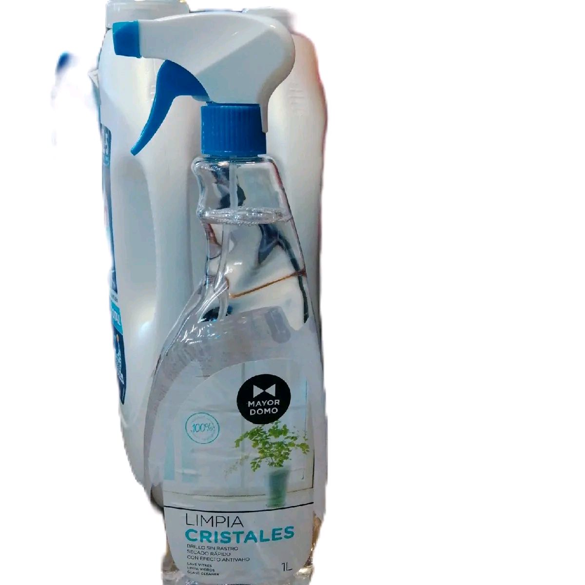 Mayor Domo Glass Household Cleaner