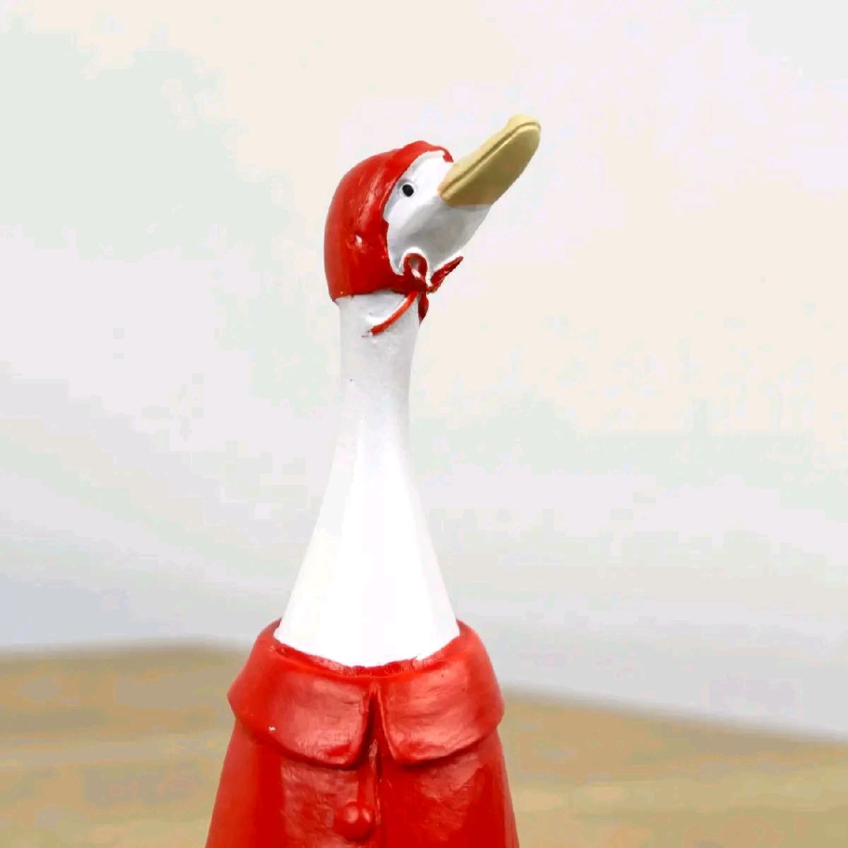 Set of 2 Resin Raincoat Duck Ornaments