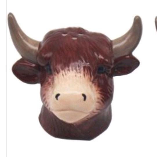 Highland Cow Salt & Pepper Pots - Kitchen Seasoning Utensils Rustic