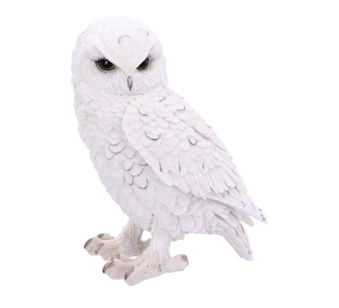 Snowy Watch Large 20cm
Snowy Watch Large White Owl Ornament
