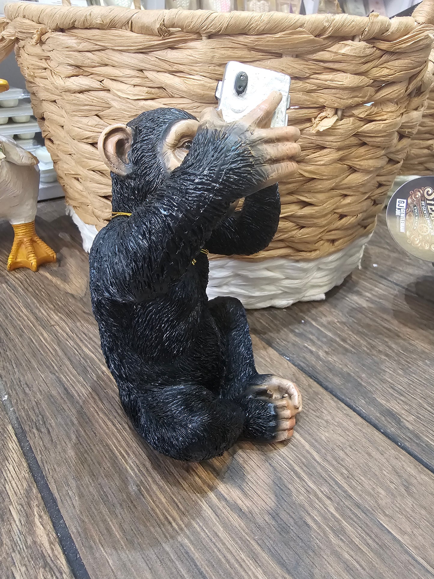 Cheeky Monkey Chimp Selfie Statue