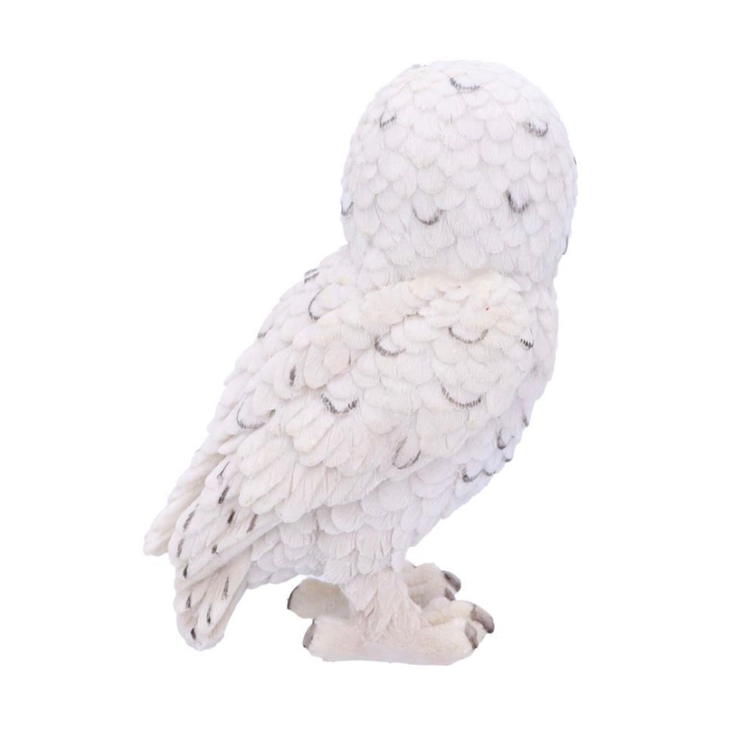 Snowy Watch Small 13.3cm
Snowy Watch Small White Owl Ornament